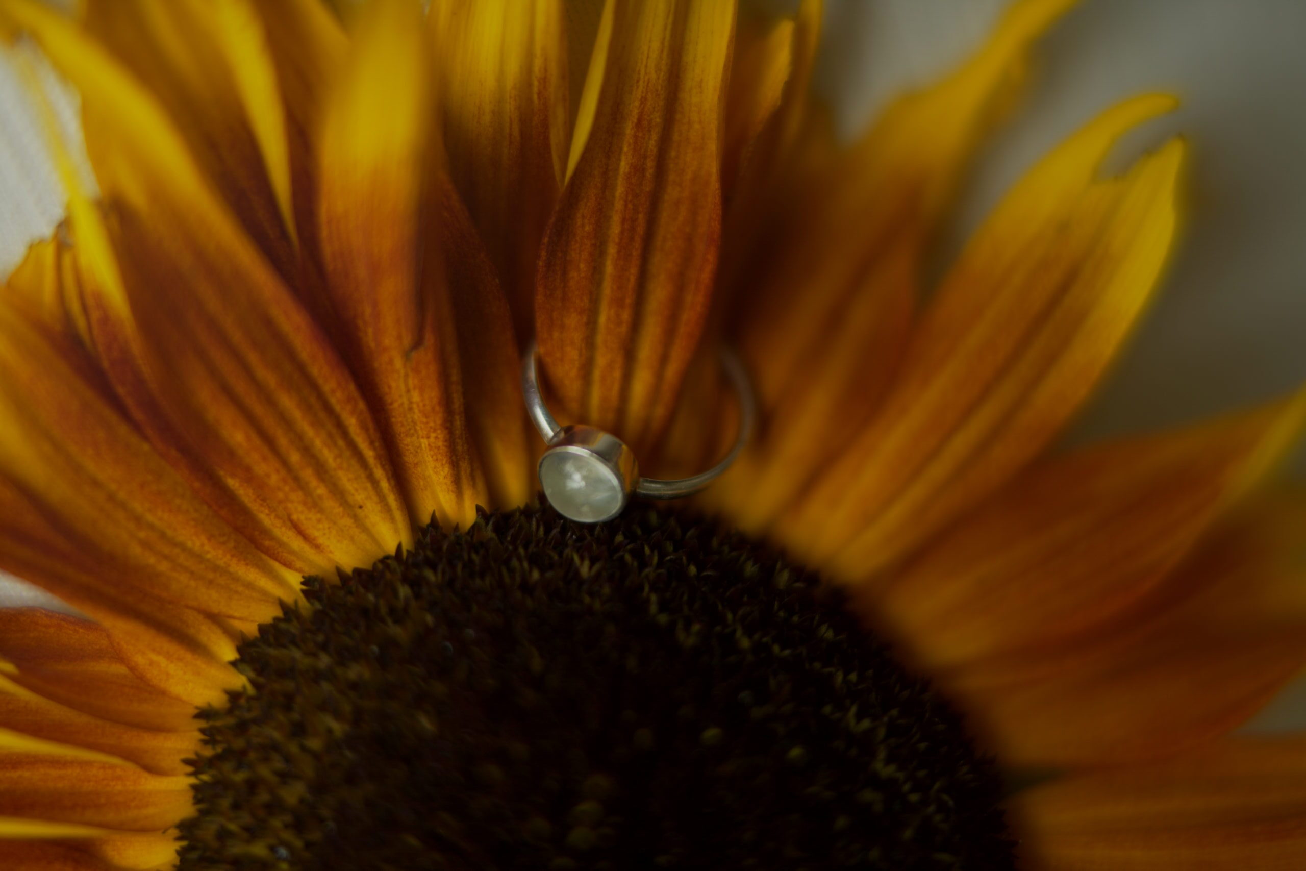 Pomar jewelry image 2